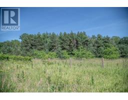 Pt 1 Boyce Road, Alnwick/haldimand, ON K0K1S0 Photo 25