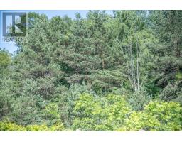 Pt 1 Boyce Road, Alnwick/haldimand, ON K0K1S0 Photo 29