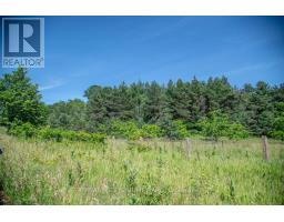 Pt 1 Boyce Road, Alnwick/haldimand, ON K0K1S0 Photo 30