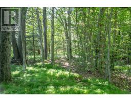 Pt 1 Boyce Road, Alnwick/haldimand, ON K0K1S0 Photo 31