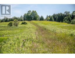 Pt 1 Boyce Road, Alnwick/haldimand, ON K0K1S0 Photo 7