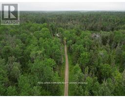 209 11 Highway, Fauquier Strickland, ON P0L1G0 Photo 14