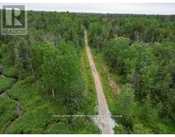 209 11 Highway, Fauquier Strickland, ON P0L1G0 Photo 15
