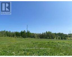 209 11 Highway, Fauquier Strickland, ON P0L1G0 Photo 24