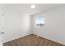 17306 6a St Ne, Edmonton, AB T5Y4J7 Photo 31
