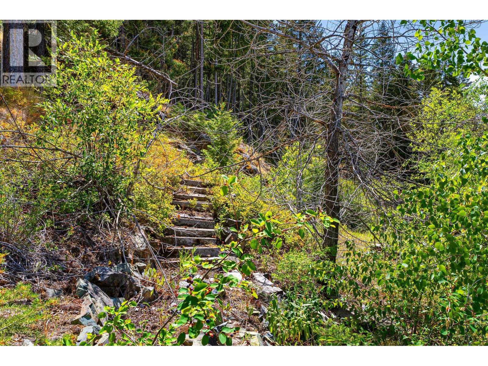 3104 Panorama Drive - 6