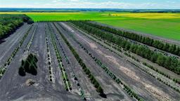 18116 31w Road, Rm Of Thompson, MB R0G1H0 Photo 41
