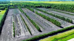 18116 31w Road, Rm Of Thompson, MB R0G1H0 Photo 42