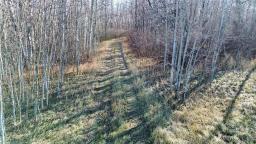 95056 119 Road W, Newdale, MB R0J1J0 Photo 15
