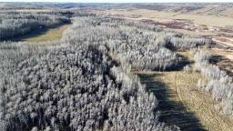 95056 119 Road W, Newdale, MB R0J1J0 Photo 16