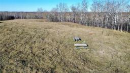 95056 119 Road W, Newdale, MB R0J1J0 Photo 6