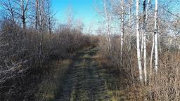 95056 119 Road W, Newdale, MB R0J1J0 Photo 7