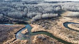 95056 119 Road W, Newdale, MB R0J1J0 Photo 10
