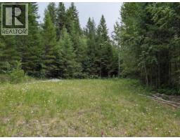13 Collins Road, Williams Lake, BC V2G4Y5 Photo 8