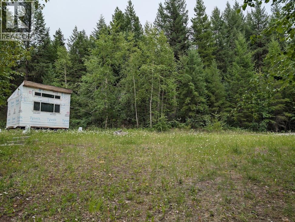 13 COLLINS ROAD, Williams Lake