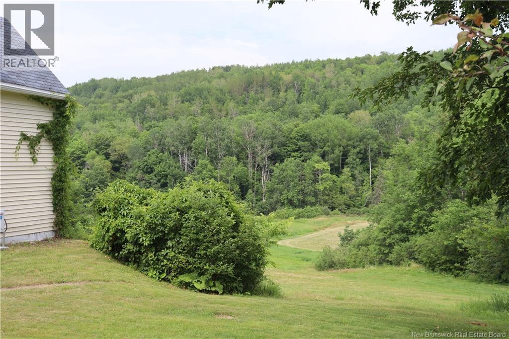803 Wards Creek Road - 47