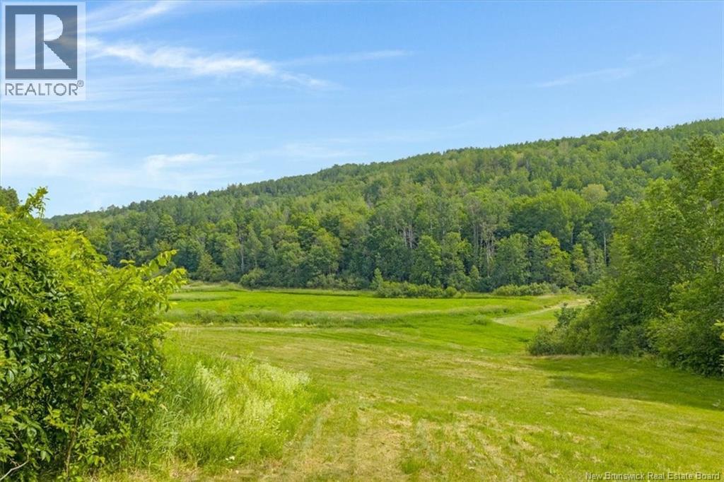 803 Wards Creek Road - 35