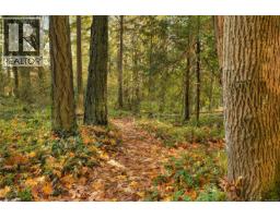 851 Sayward Rd, Saanich, BC V8Y1R5 Photo 80