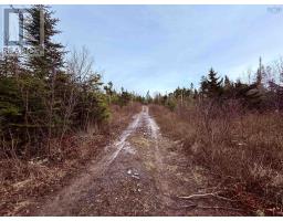 Lot (pid 90037540) Highway 308, Morris Island, NS B0W3M0 Photo 9