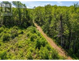 Vacant Land Torbrook Road, Torbrook Mines, NS B0P1R0 Photo 10