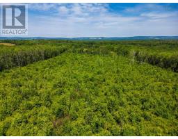 Vacant Land Torbrook Road, Torbrook Mines, NS B0P1R0 Photo 11