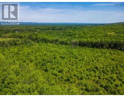 Vacant Land Torbrook Road, Torbrook Mines, NS B0P1R0 Photo 13