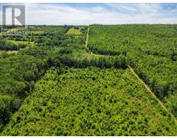 Vacant Land Torbrook Road, Torbrook Mines, NS B0P1R0 Photo 8