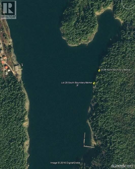 28 Hot Springs, Tofino