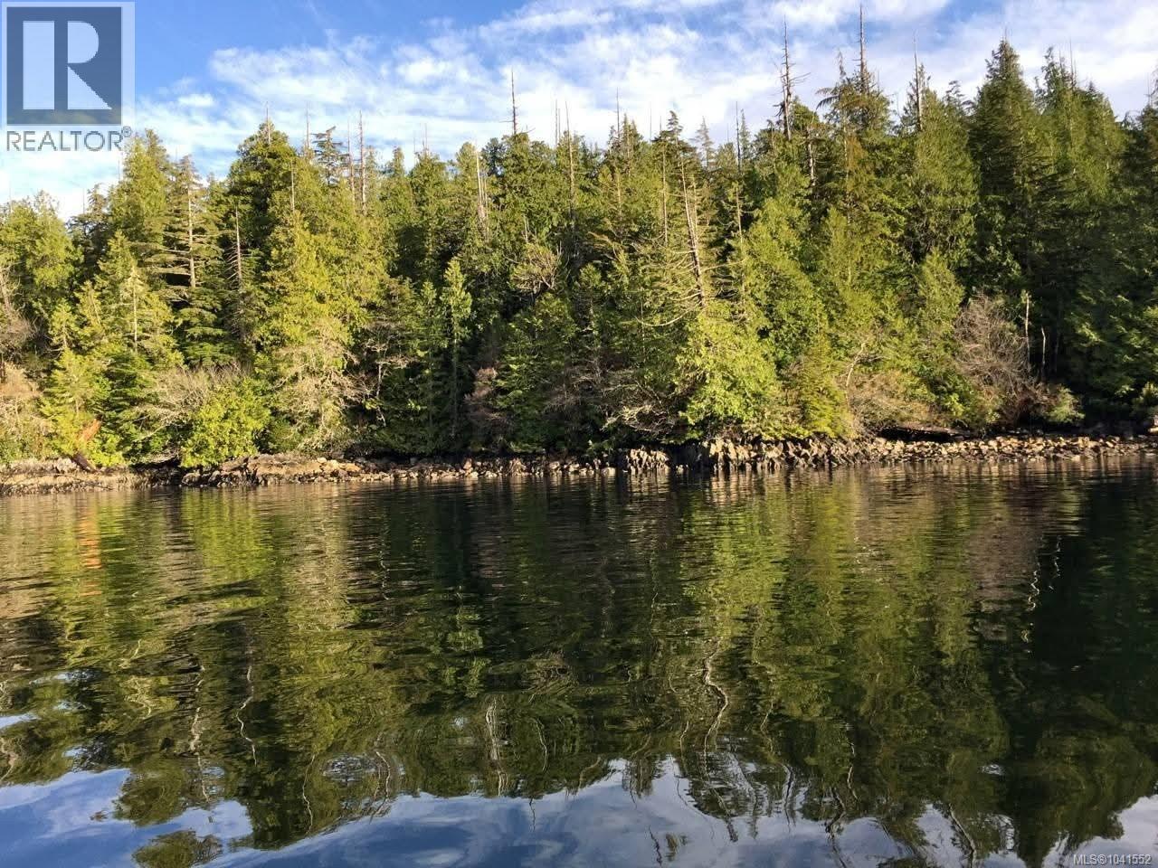 28 Hot Springs, Tofino