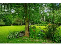 31 Birchwood Court, Trent Hills, ON K0L1Y0 Photo 42