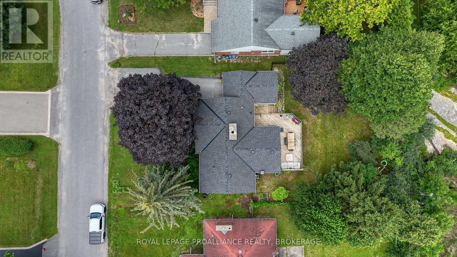 27 ELIZABETH AVENUE - 36
