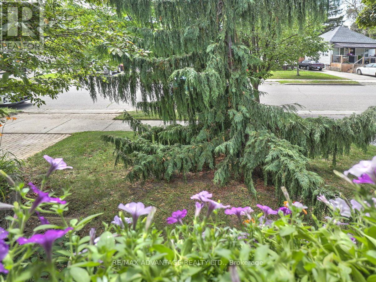 272 ELGIN STREET - 47