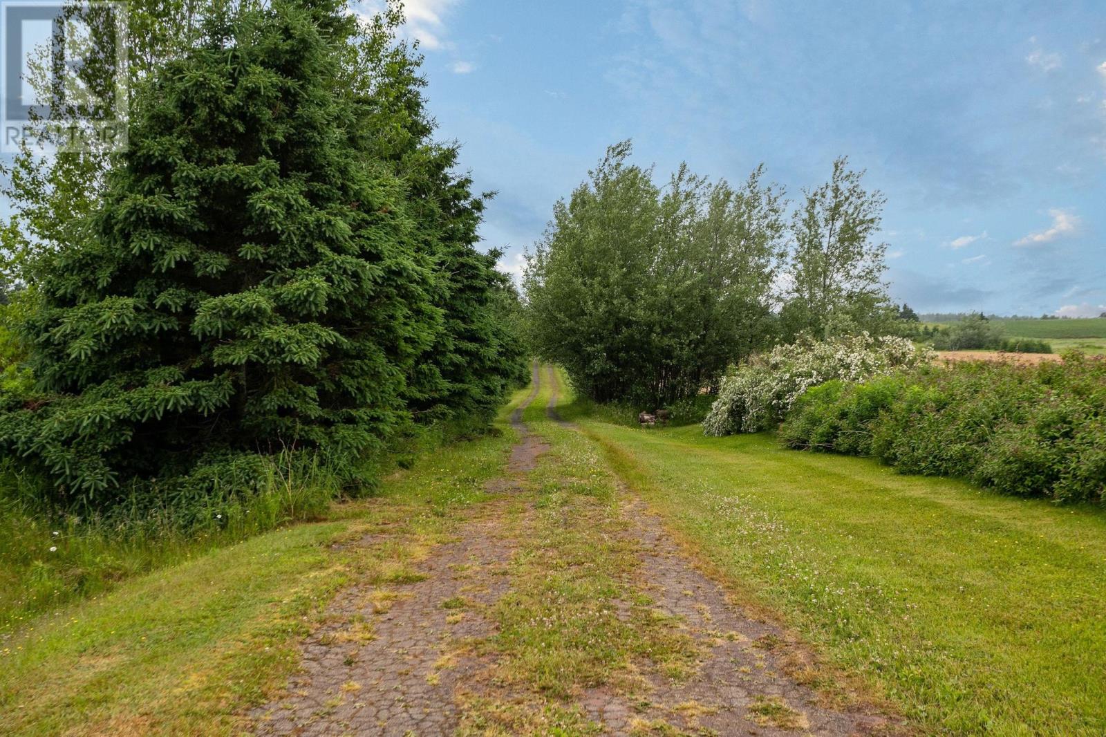 3277 Cape Bear Road, 3277 Route 18, Guernsey Cove - 47