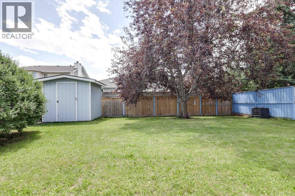 large fenced yard