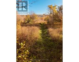 Ptlt 39 Con 25 N E, Georgian Bluffs, ON N0H2T0 Photo 13