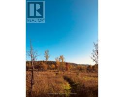 Ptlt 39 Con 25 N E, Georgian Bluffs, ON N0H2T0 Photo 15
