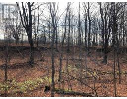 Ptlt 39 Con 25 N E, Georgian Bluffs, ON N0H2T0 Photo 19