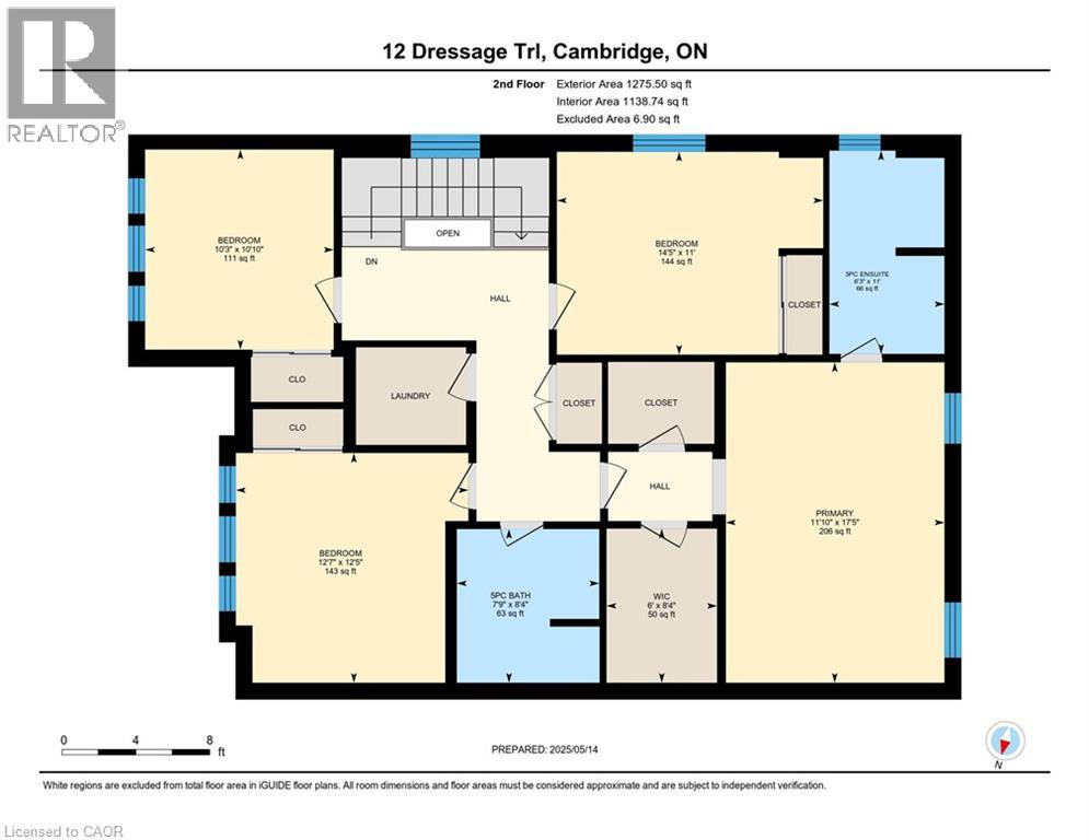 12 DRESSAGE Trail - 43