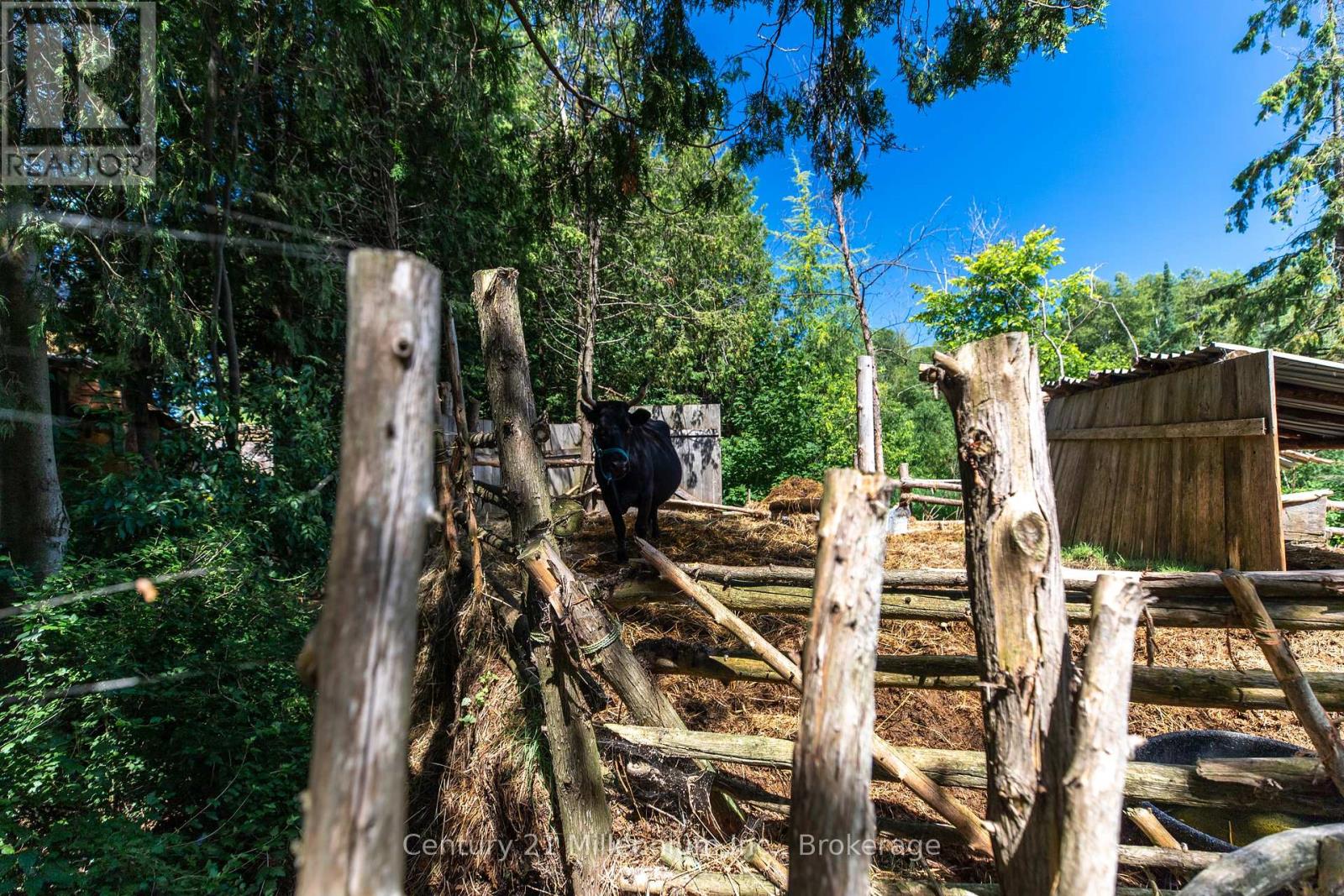 Thumbnail 12