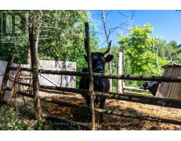 612608 Sideroad 61, Southgate, ON N0G2A0 Photo 10