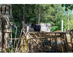 612608 Sideroad 61, Southgate, ON N0G2A0 Photo 11