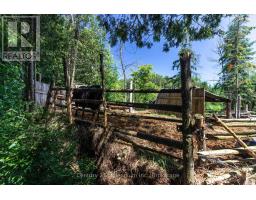 612608 Sideroad 61, Southgate, ON N0G2A0 Photo 14