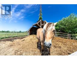 612608 Sideroad 61, Southgate, ON N0G2A0 Photo 21