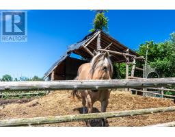 612608 Sideroad 61, Southgate, ON N0G2A0 Photo 22