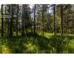 612608 Sideroad 61, Southgate, ON N0G2A0 Photo 24
