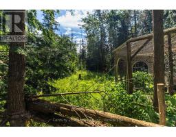 612608 Sideroad 61, Southgate, ON N0G2A0 Photo 25