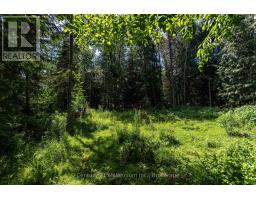 612608 Sideroad 61, Southgate, ON N0G2A0 Photo 27