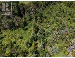 612608 Sideroad 61, Southgate, ON N0G2A0 Photo 36