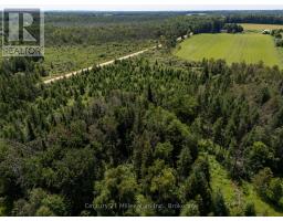612608 Sideroad 61, Southgate, ON N0G2A0 Photo 46