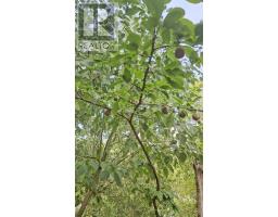 612608 Sideroad 61, Southgate, ON N0G2A0 Photo 6